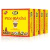 Sambrani Cup Incense (12 pcs)
