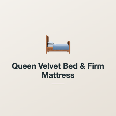 Queen Velvet Bed & Firm Mattress